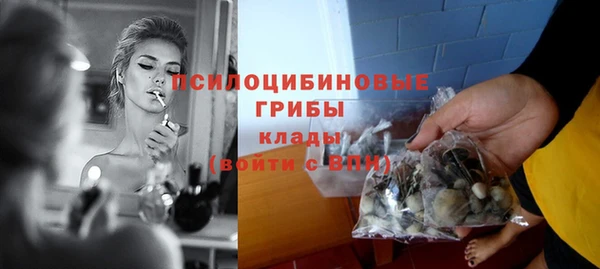 дживик Алексеевка