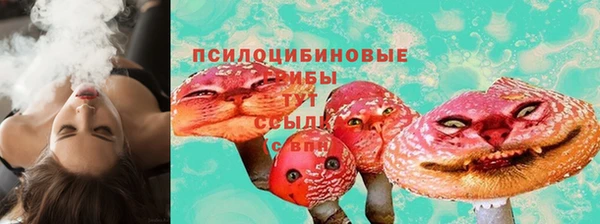 дживик Абаза