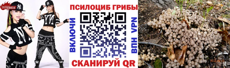 Галлюциногенные грибы GOLDEN TEACHER  как найти   Орск 