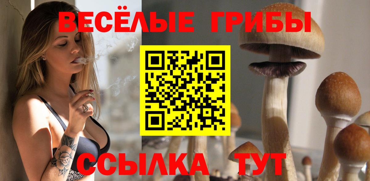 Псилоцибиновые грибы ЛСД Орск